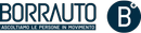 Logo Borrauto srl